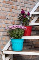 2 Adet 5 Litre Revak Plastik Saksı - R006