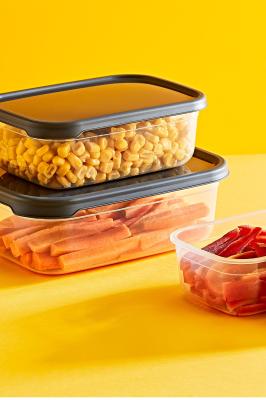 3'lü Embox Dikdörtgen Saklama Seti EP-300