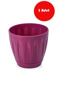 3 Adet 22 Litre Vişne Rengi Papatya  Saksı - P005V