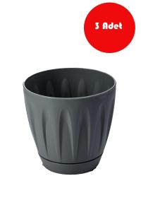 3 Adet 6 Litre Siyah Renk Papatya  Saksı - P004BLCK