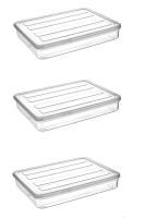3 Adet Deepfreezer Organizer Saklama Kabı 2,4 Litre - 1116_06_3