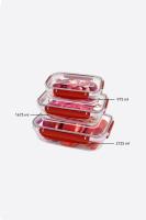 3 Parça Master Dikdörtgen Set (975-1675-2725 ml) - 30887