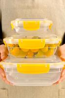 4 Parça Master Kare Set (600-1025-1700-2700 ml) - 30880