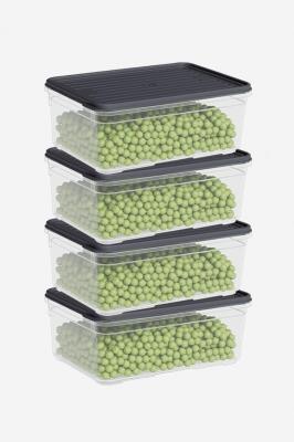 Dünya Plastik 4 Parça Smart Saklama Kabı Set (4 x 1650 ml) - 60018