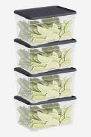 4 Parça Smart Saklama Kabı Set (4 x 2100 ml) - 60019