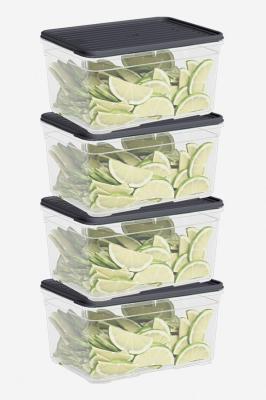 Dünya Plastik 4 Parça Smart Saklama Kabı Set (4 x 2100 ml) - 60019