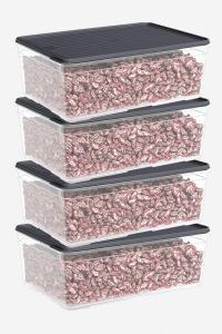 4 Parça Smart Saklama Kabı Set (4 x 4300 ml) - 60022
