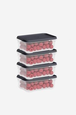 Dünya Plastik 4 Parça Smart Saklama Kabı Set (4 x 500 ml) - 60014