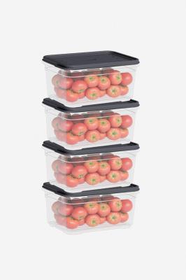 Dünya Plastik 4 Parça Smart Saklama Kabı Set (4 x 700 ml) - 60015