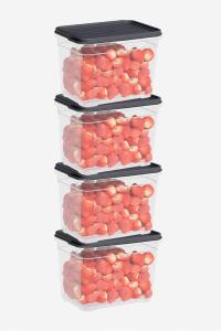 4 Parça Smart Saklama Kabı Set (4 x 950 ml) - 60016