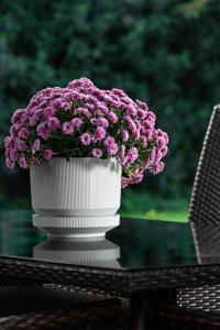 6 Litre Lüks Saksı - S283