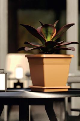 9 Litre Villa Kare Saksı Takımı  - VK2