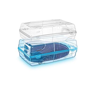 Erkek Ayakkabı Saklama Kutusu - Rnlasr-5008