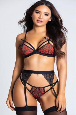 For Dreams Kadın Fantezi İç Çamaşır Takımı - 8356