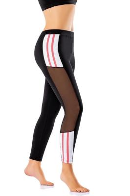 Derya Kurşun Kadın Siyah Transparan Detaylı Eşofman Altı 0584