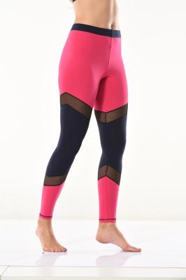 Derya Kurşun Transparan Detaylı Fuşya Kadın Tayt 0581