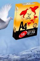 Vestpa Gold A4 Fotokopi Kağıdı 5 li Paket (5 x 500)