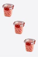3 Adet 575 ml Master Derin Kare Plastik Sızdırmaz Saklama Kutusu 30831