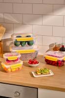 5 ParçaDikdörtgen Master Smart Set ( 2x800 ml, 2x1000 ml, 1x2100 ml )- 30897