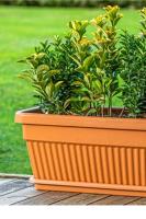 Kemer 9 Litre Bahçe Saksı Takımı - KBS1