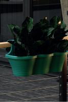 Serinova No.1 Tombik Saksı -TOM1R