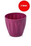 3 Adet 12 Litre Vişne Rengi Papatya  Saksı - P005V