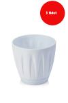 3 Adet 6 Litre Papatya Beyaz Saksı- P004